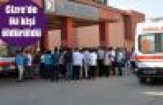 Cizre'de iki kişi öldürüldü