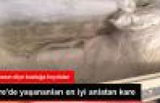 Cizre'de Öldürülen Genç Kızın Cenazesi Buzlukta...