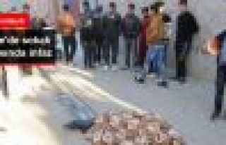Cizre'de Vatandaşlar Sokak Ortasında Erkek Cesedi...