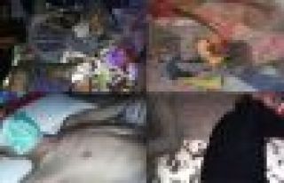 Cizre'de yaralıların olduğu bodrumdan ilk fotoğraflar