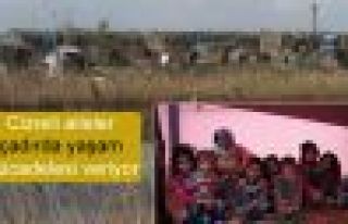 Cizreli aileler çadırda yaşam mücadelesi veriyor