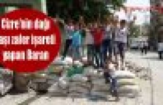 Cizre'nin dağı taşı zafer işareti yapan Baran