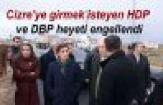 Cizre'ye girmek isteyen HDP ve DBP heyeti engellendi
