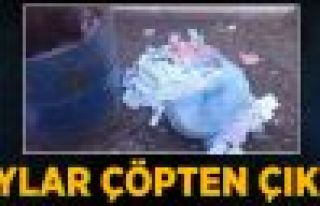 Çöp Döküm Alanında Kullanılmış Oy Pusulaları...