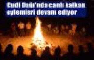 Cudi Dağı'nda canlı kalkan eylemleri devam ediyor