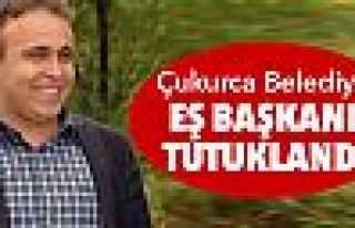 Çukurca Belediye Eş Başkanı Servet Tunç tutuklandı