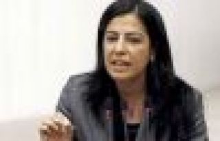 'Cumhurbaşkanına hakaret maddesi kaldırılsın'