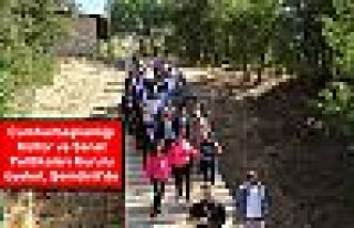 Cumhurbaşkanlığı Kültür ve Sanat Politikaları...