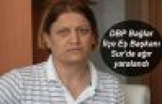 DBP Bağlar İlçe Eş Başkanı Sur'da ağır yaralandı