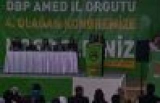 DBP Diyarbakır İl Eşbaşkanlığı’na İpek ve...