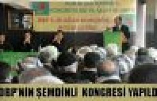 DBP'nin Şemdinli Kongresi Yapıldı