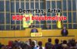 Demirtaş: 'Artık HDP'yi büyütmeliyiz'