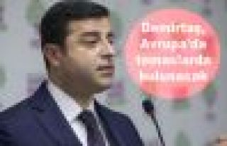 Demirtaş, Avrupa'da temaslarda bulunacak