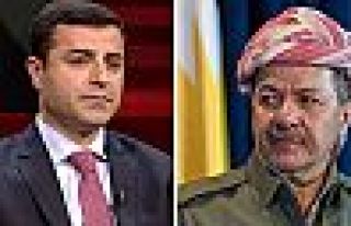 Demirtaş, Barzani ile görüşecek