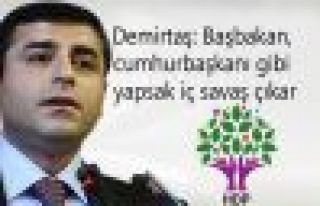 Demirtaş: Başbakan, cumhurbaşkanı gibi yapsak...