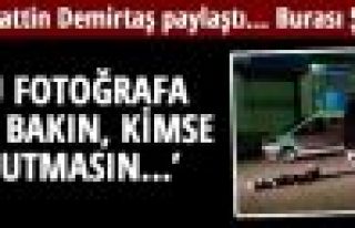 Demirtaş: 'Bu fotoğrafa iyi bakın, kimse unutmasın'