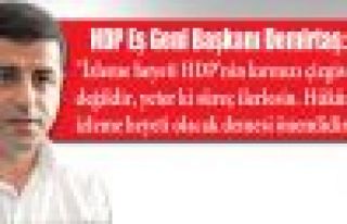 Demirtaş: 'İzleme Heyeti kırmızı çizgimiz değil'