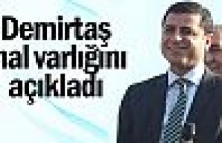 Demirtaş mal varlığını ve diplomasını açıkladı