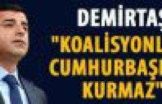 Demirtaş: Silah bırakma çağrısını Öcalan yapabilir