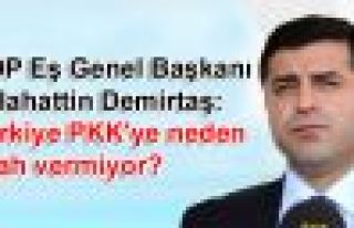 Demirtaş: Türkiye PKK'ye neden silah vermiyor?