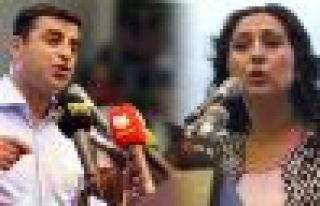 Demirtaş ve Yüksekdağ'ın seçim bölgeleri belli...