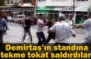 Demirtaş'ın standına tekme tokat saldırı