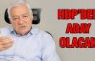 Dengir Mir Mehmet Fırat aday oluyor!