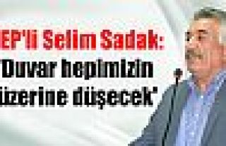 DEP'li Selim Sadak: 'Duvar hepimizin üzerine düşecek'