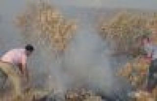 Dersim, Mardin ve Şırnak'taki orman yangınları...