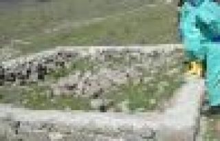 Dersim'de ilk kazıda insan kemiklerine ulaşıldı