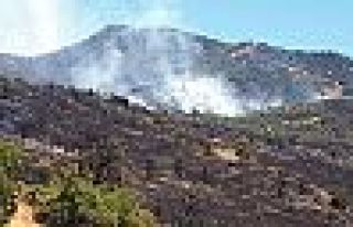 Dersim'deki orman yangını geniş bir alana yayıldı