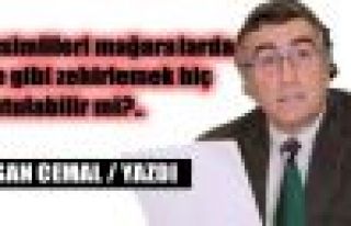 Dersimlileri mağaralarda fare gibi zehirlemek hiç...