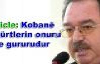 Dicle: Kobanê Kürtlerin onuru ve gururudur