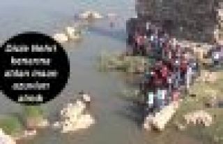 Dicle Nehri kenarına atılan insan uzuvları alındı