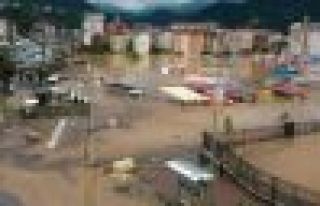 Diyarbakır Belediyesi Eş Başkanı Anlı: Hopa'ya...