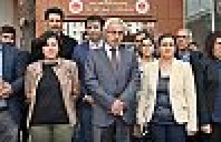 Diyarbakır Büyükşehir Belediyesi eş başkanları...
