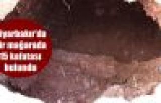 Diyarbakır'da bir mağarada 15 kafatası bulundu