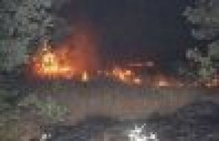 Diyarbakır'da canlı kalkan eyleminin yapıldığı...