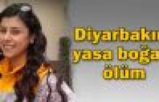 Diyarbakır'da feci kaza: 1 ölü