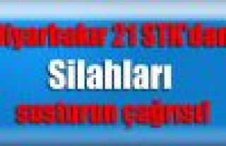 Diyarbakır'daki sivil toplum örgütlerinden 'silahları...