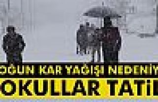 Doğu Karadeniz’de bazı ilçelerde okullara kar...