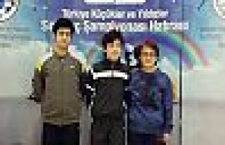 Doktor anneyle oğlu evlerinde ölü bulundu