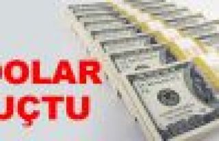 Dolar 3 TL'ye dayandı