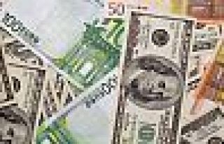 Dolar ve Euro'da Yükseliş Sürüyor