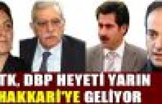DTK-DBP heyeti Hakkari'ye gidiyor
