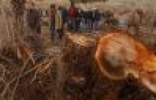 DTK: Dicle Vadisi'nin yapılaşmasına karşı duracağız