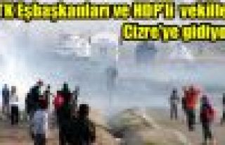 DTK Eşbaşkanları ve HDP'li vekiller Cizre'ye gidiyor
