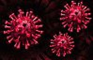 Dünya genelinde koronavirüs bilançosu: Can kaybı...