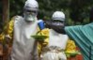 Dünya Sağlık Örgütü: Ebola vakaları 20 bini...