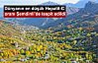 Dünyanın en düşük Hepatit-C oranı Şemdinli'de...